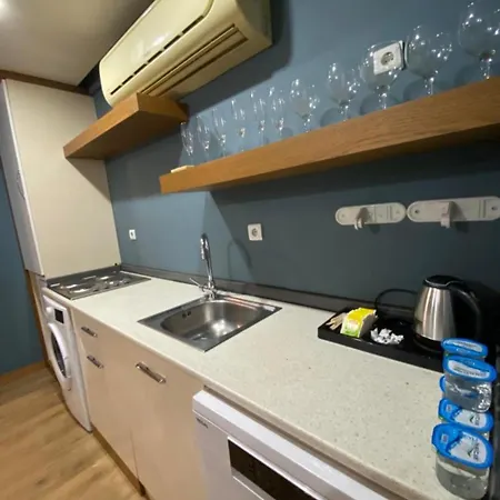 Appartamento Dry Provincia di Istanbul
